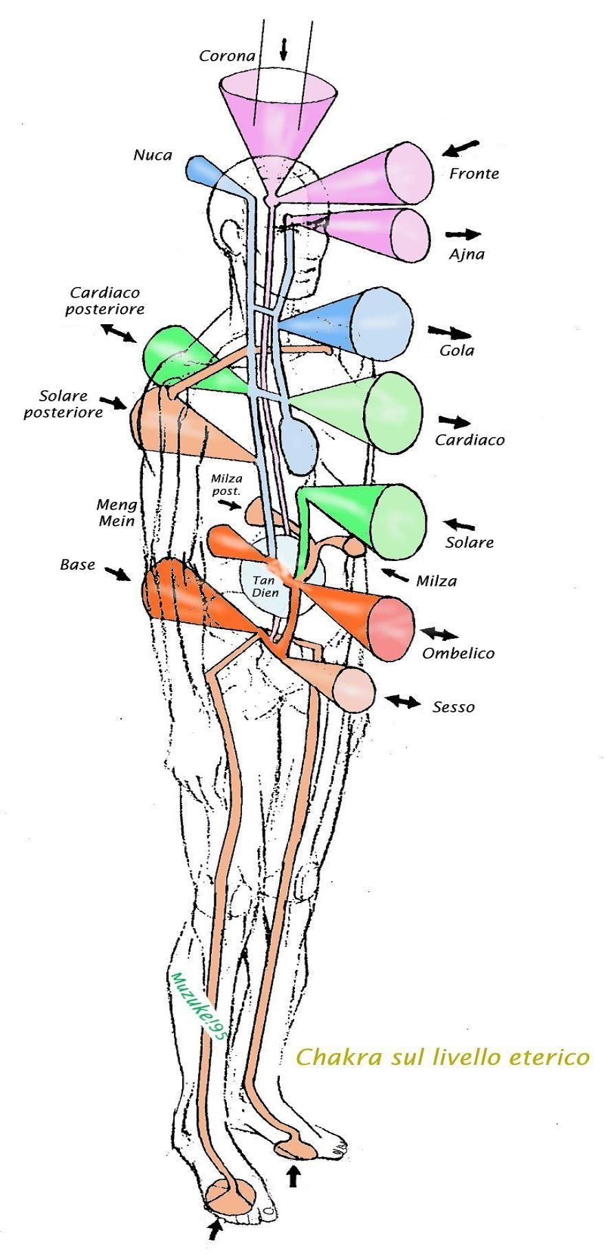 Chakras 